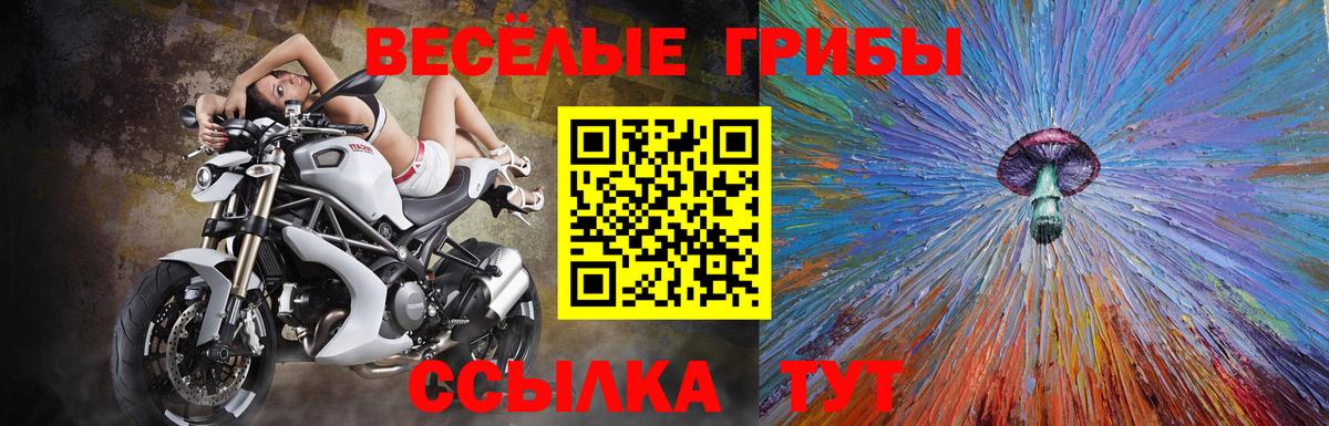 Галлюциногенные грибы прущие грибы  Псилоцибиновые грибы прущие грибы  Вход с VPN  Знаменск 